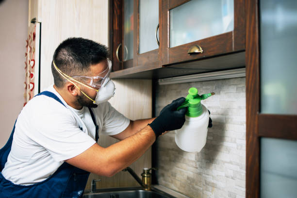 Best Exterminator Services  in Cologne, MN