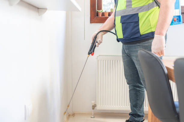 Best Mosquito Control Services  in Cologne, MN