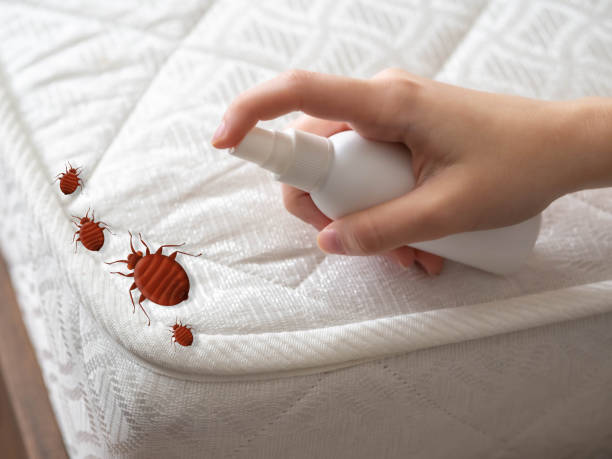 Best Best Pest Control Companies  in Cologne, MN
