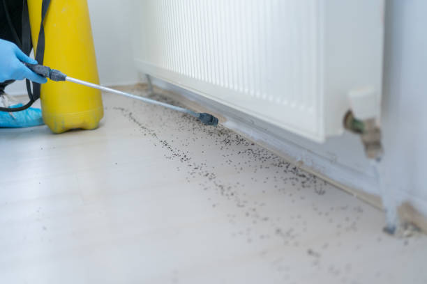 Best Pest Control for Restaurants  in Cologne, MN